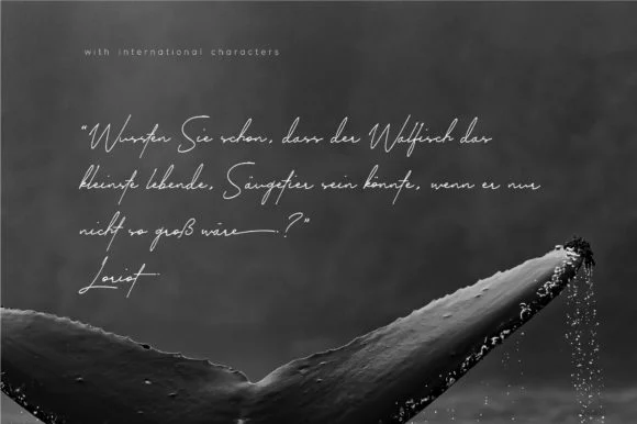 Brad Hefferson Font by NB201 — Script Handwritten Font — thumbnail 2