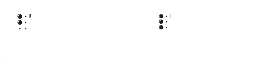 Braille Latin by Manfred Klein — Dingbats Font
