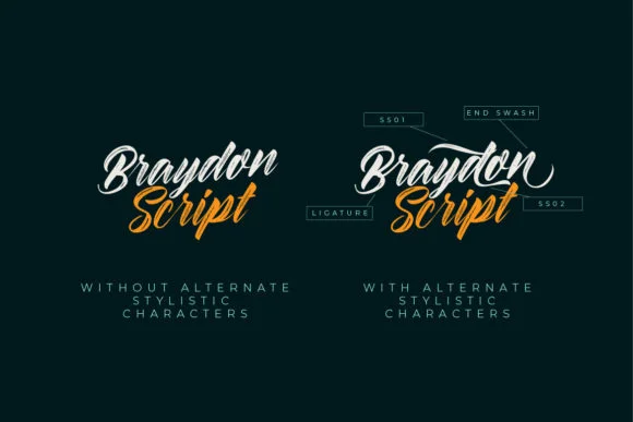 Braydon Font by Debut Studio — Script Handwritten Font — thumbnail 9
