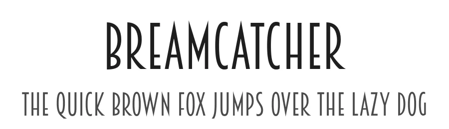 Breamcatcher