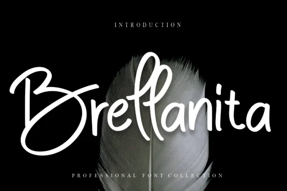 Brellanita Font by Roronoa zoro.S.P.D — Script Handwritten Font
