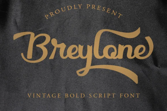 Breylone Font by Skinny type — Script Handwritten Font