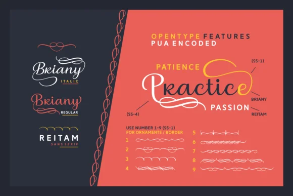 Briany Font by Andrian Dehasta — Script Handwritten Font — thumbnail 5