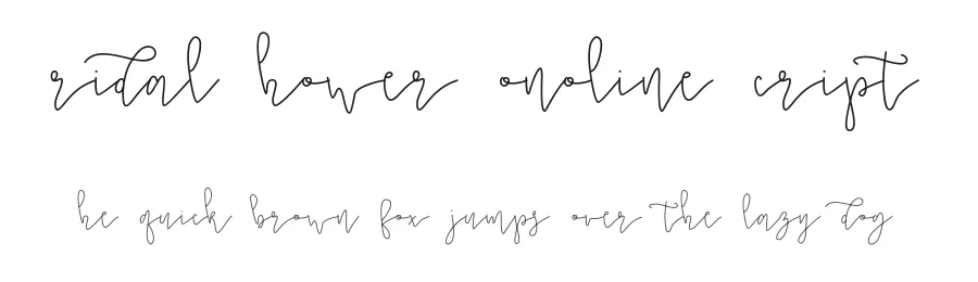 Bridal Shower Monoline Script