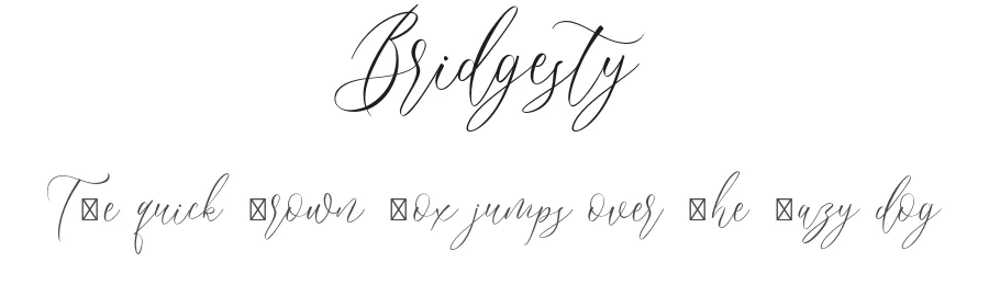 Bridgesty