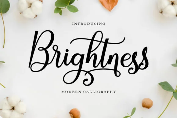 Brightness Font by Black Studio by Black Studio — Script Handwritten Font