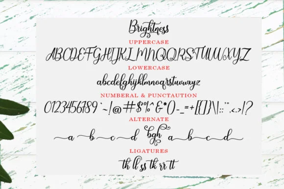 Brightness Font by Black Studio by Black Studio — Script Handwritten Font — thumbnail 6