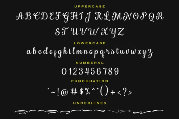 Brilliance Font by Skinny type — Script Handwritten Font — thumbnail 6