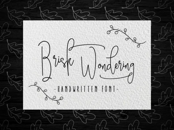 Brisk Wondering Font by moriztype β Script Handwritten Font