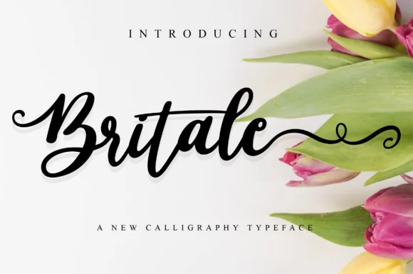 Britale Script Font by fanastudio — Script Handwritten Font