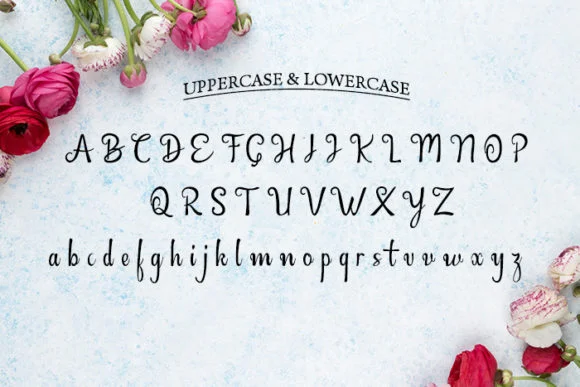 Britania Font by Rezastudio — Script Handwritten Font — thumbnail 6