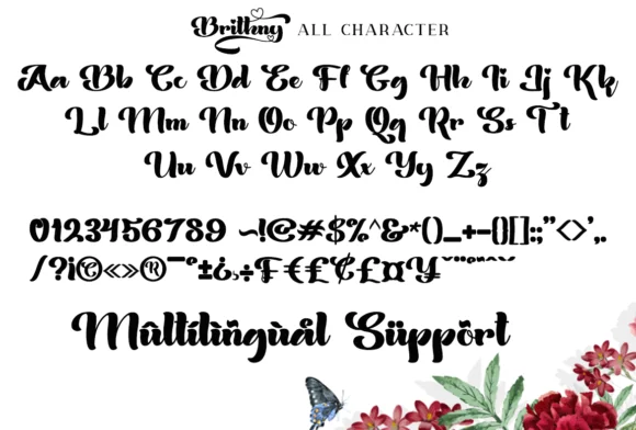 Brithny Font by Sealoung — Script Handwritten Font — thumbnail 9