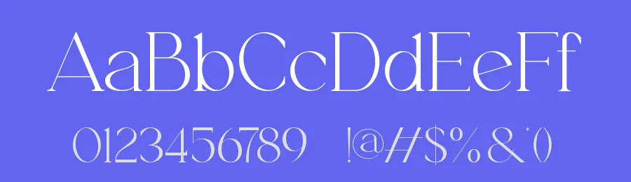Brolyn by Slide Shoot Type — Serif Font — thumbnail 3