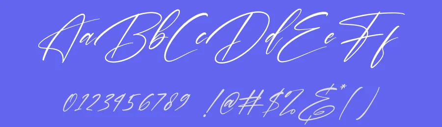 Brotherdam Signature by Perspectype Studio - Letterena.com — Script Handwritten Font — thumbnail 3
