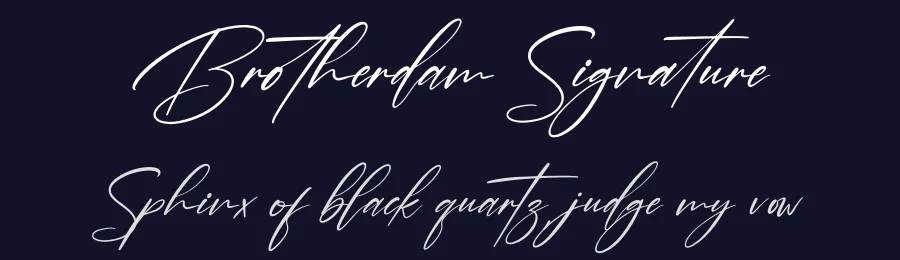 Brotherdam Signature by Perspectype Studio - Letterena.com — Script Handwritten Font — thumbnail 2