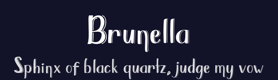 Brunella by DM Letter Studio - Dimas Prasetyo — Decorative Font — thumbnail 2