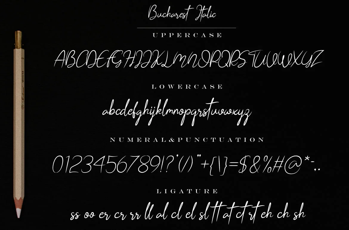 Bucharest Font by Bluestudio — Script Handwritten Font — thumbnail 6