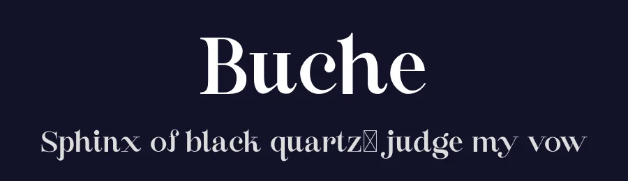 Buche by FactoryType — Serif Font — thumbnail 2