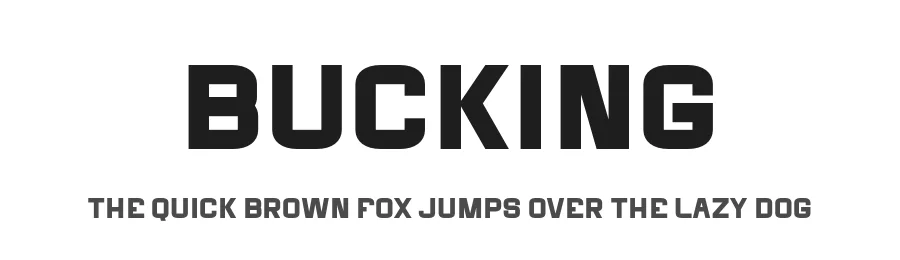 Bucking by BrandSemut — Sans Serif Font