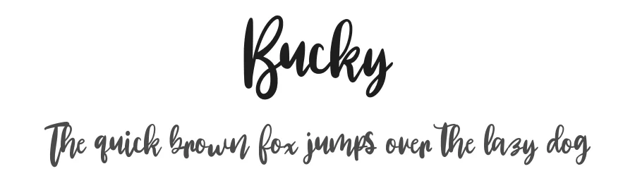 Bucky