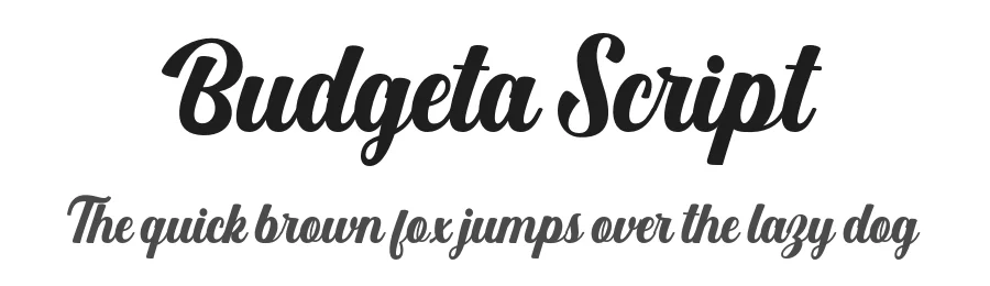 Budgeta Script