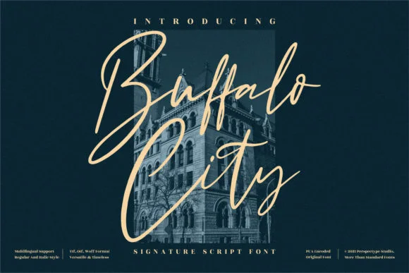 Buffalo City Font by Perspectype — Script Handwritten Font