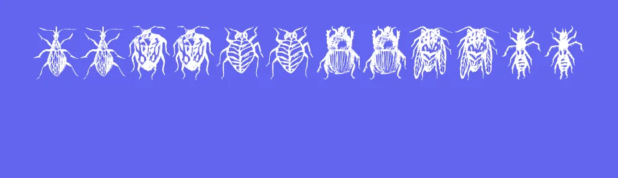 Buggys by Vladimir Nikolic — Dingbats Font — thumbnail 3
