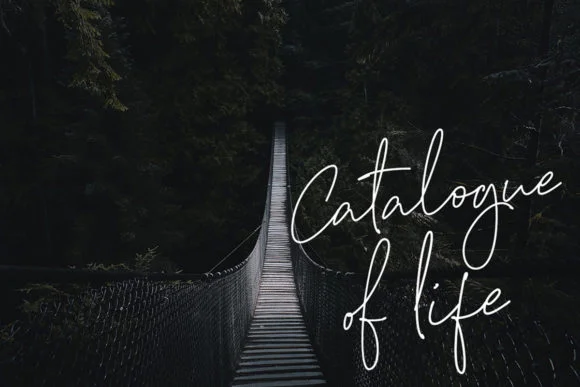 Bulqeusfertom Font by MechaStudio — Script Handwritten Font — thumbnail 2