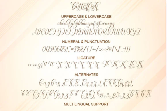 Butterfish Font by Doehantz Studio — Script Handwritten Font — thumbnail 9