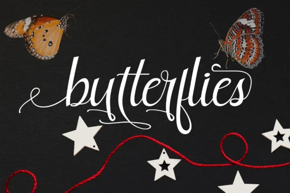 Butterfly Font by Rt Creative — Script Handwritten Font — thumbnail 2