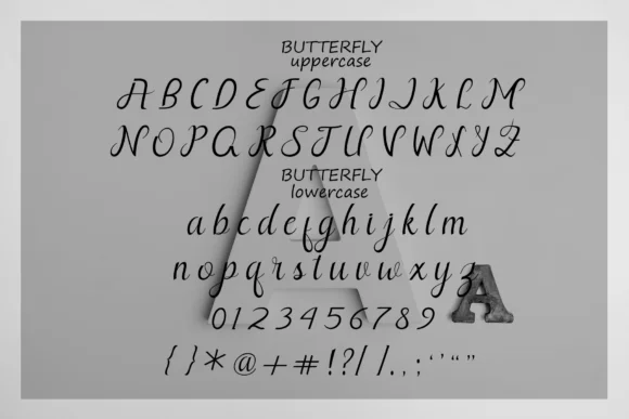 Butterfly Font by Rt Creative — Script Handwritten Font — thumbnail 8
