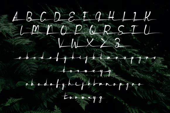 Butterfly Font by Designvector10 by Designvector10 — Script Handwritten Font — thumbnail 5