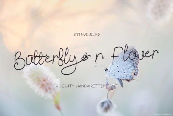 Butterfly N Flower Font by Creassion Studio — Script Handwritten Font