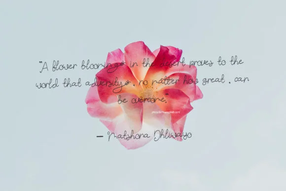 Butterfly N Flower Font by Creassion Studio — Script Handwritten Font — thumbnail 2