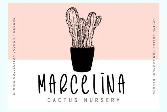 Cactus Story Font by Deedeetype — Script Handwritten Font — thumbnail 3