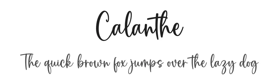 Calanthe