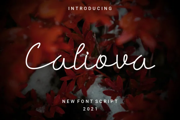 Caliova Font by alonkelakon — Script Handwritten Font