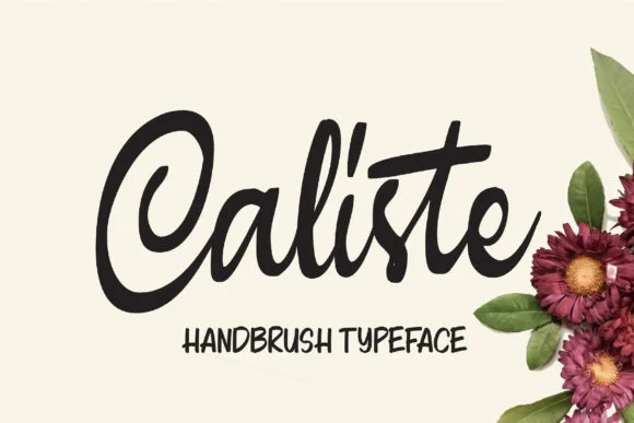 Caliste Font by Colative β Script Handwritten Font