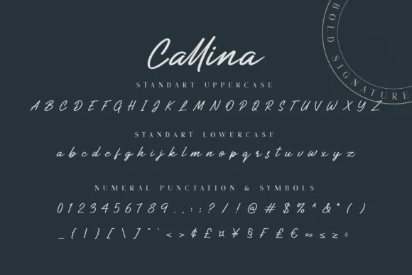 Callina Font by Bluestudio — Script Handwritten Font — thumbnail 6