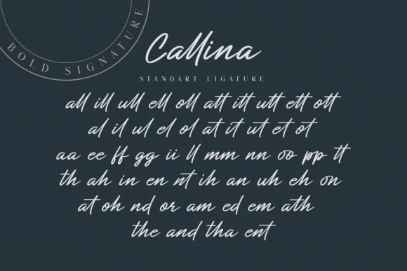 Callina Font by Bluestudio — Script Handwritten Font — thumbnail 7