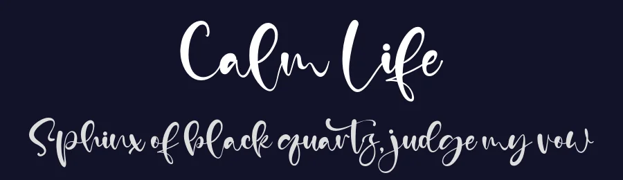 Calm Life by Kong Font — Script Handwritten Font — thumbnail 2