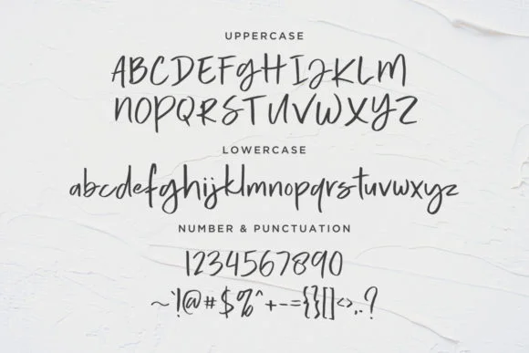 Calorie Font by Dharmas Studio — Script Handwritten Font — thumbnail 9