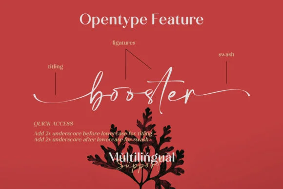 Calton Elegance Duo Font by lemonthe — Script Handwritten Font — thumbnail 5
