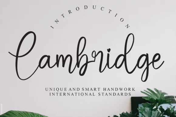 Cambridge Font by Misterletter.co by Misterletter.co — Script Handwritten Font