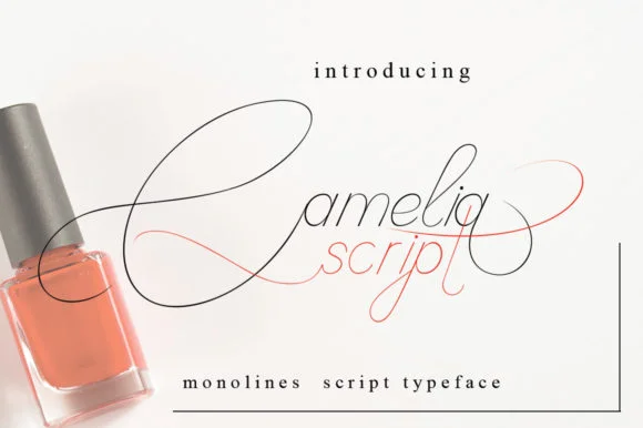 Camelia Script Font by jehansyah251 — Script Handwritten Font