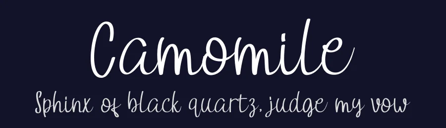Camomile by Fanastudio — Script Handwritten Font — thumbnail 2
