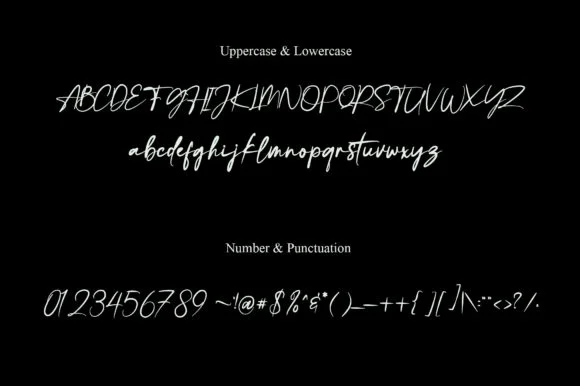Camping Ground Font by tawondasstudio — Script Handwritten Font — thumbnail 5