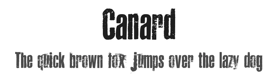 Canard