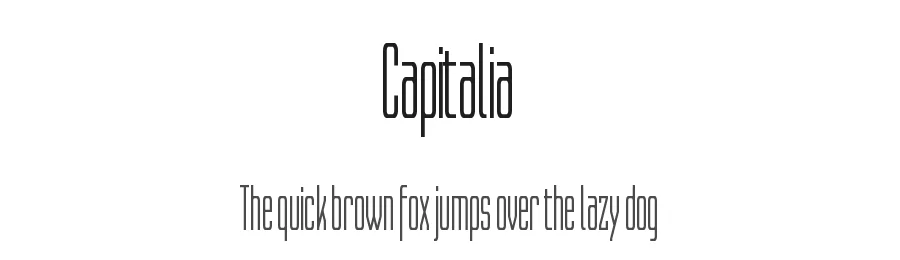 Capitalia by Tobias Sommer โ Sans Serif Font