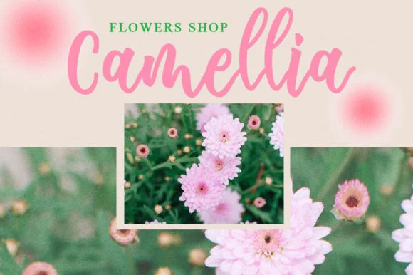 Cappadocia Font by fanastudio — Script Handwritten Font — thumbnail 4